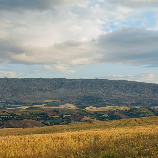 fields and houses at the foot of a mountain range